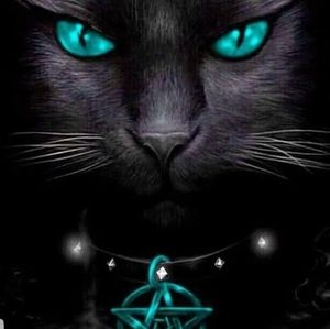 Meet your Posher, Rochelle